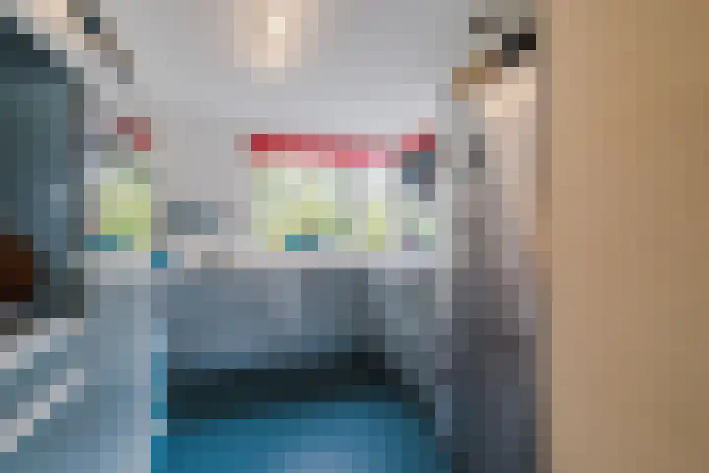 IJsvogel 25 Maarssen thumbnail 14