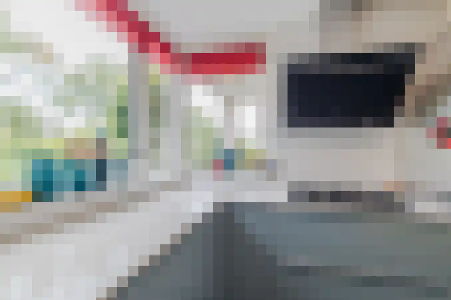 IJsvogel 25 Maarssen thumbnail 16