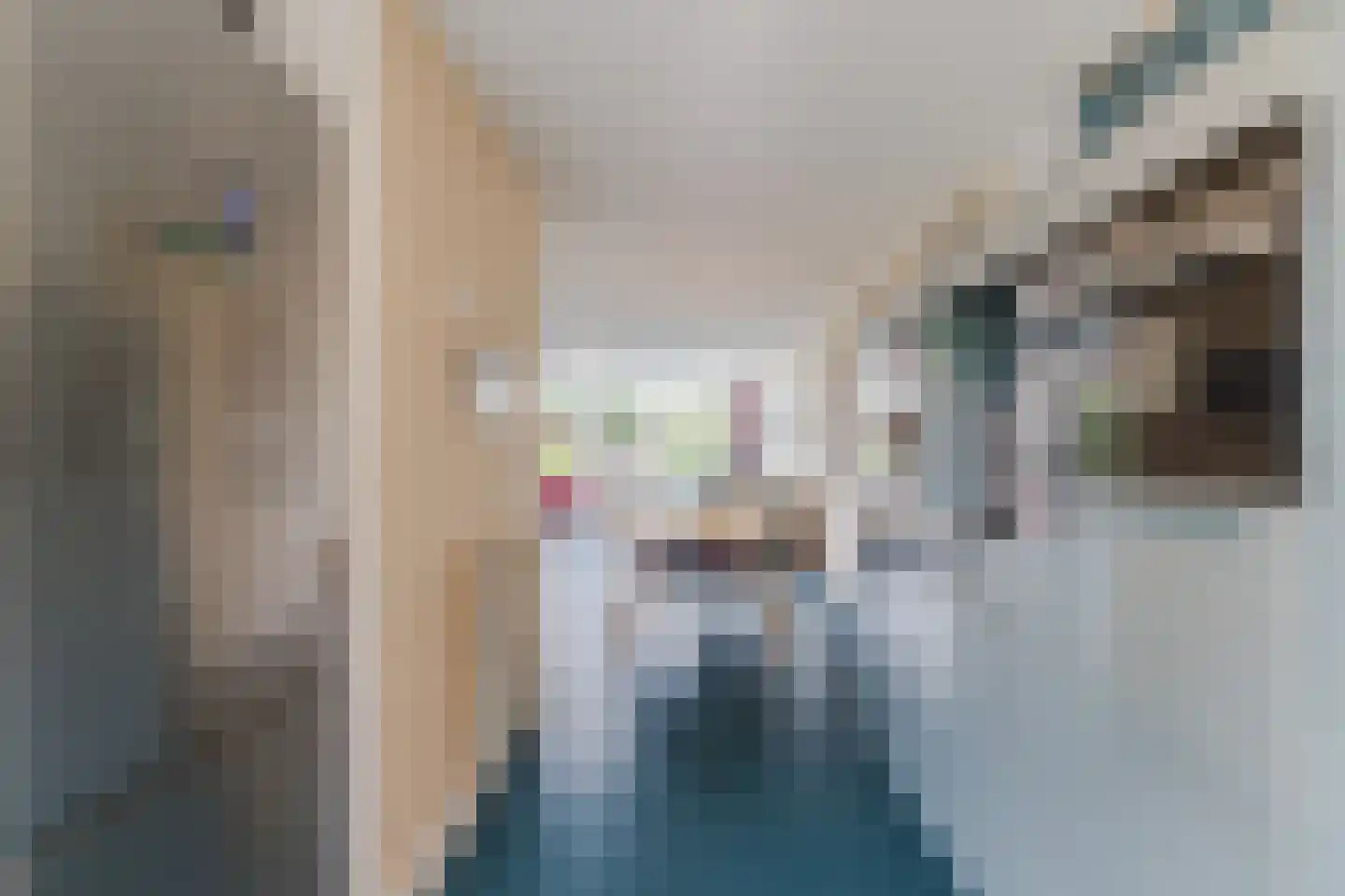 IJsvogel 25 Maarssen thumbnail 17