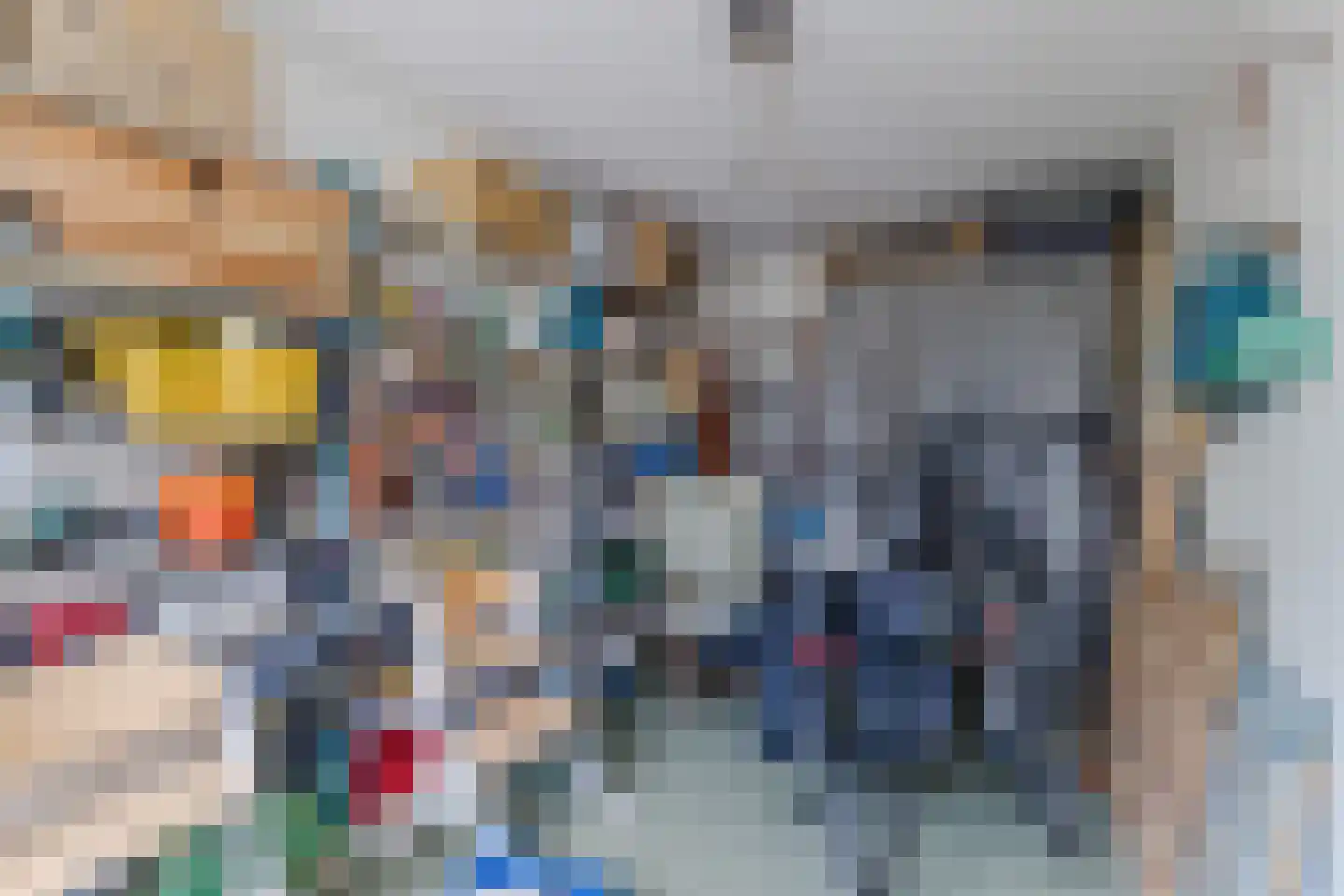 IJsvogel 25 Maarssen thumbnail 18