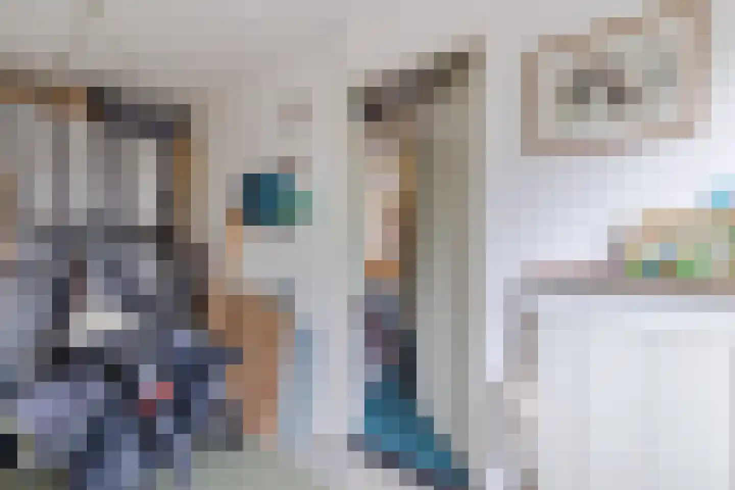 IJsvogel 25 Maarssen thumbnail 19