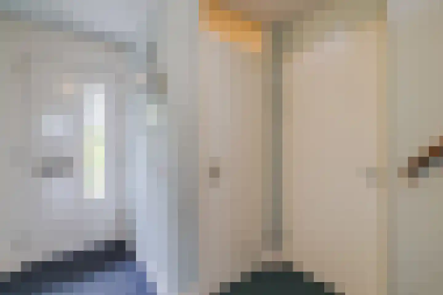 IJsvogel 25 Maarssen thumbnail 20