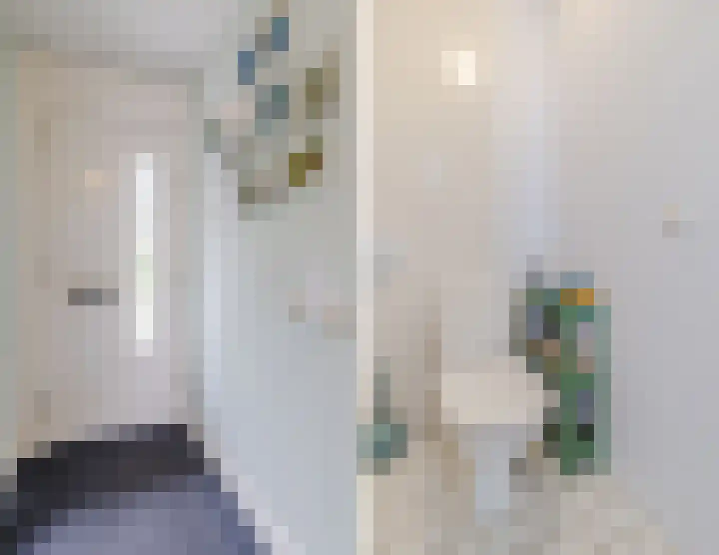 IJsvogel 25 Maarssen thumbnail 21