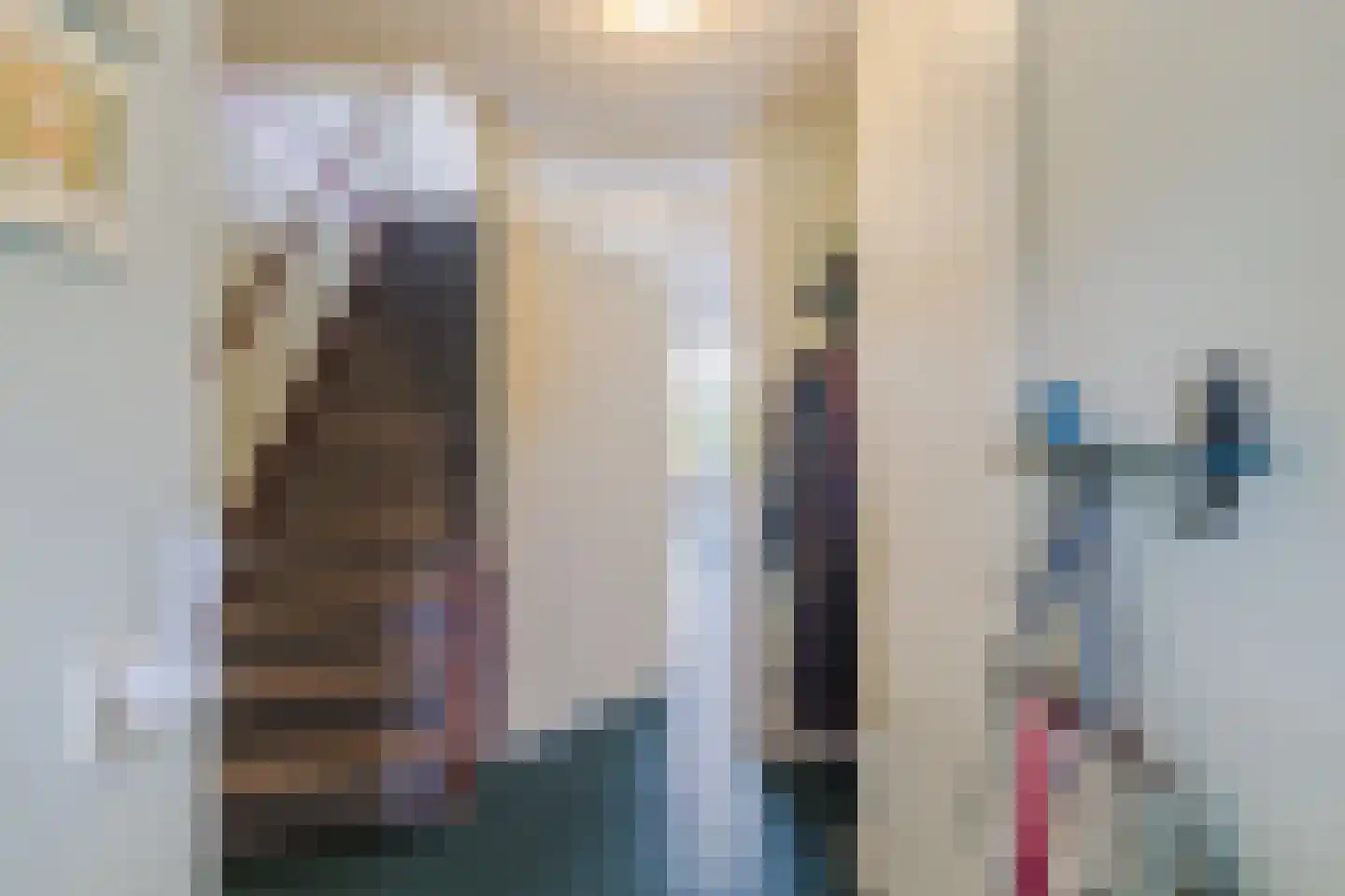 IJsvogel 25 Maarssen thumbnail 22