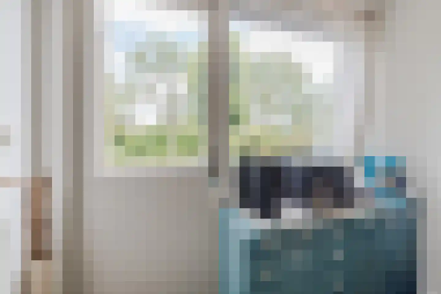 IJsvogel 25 Maarssen thumbnail 23