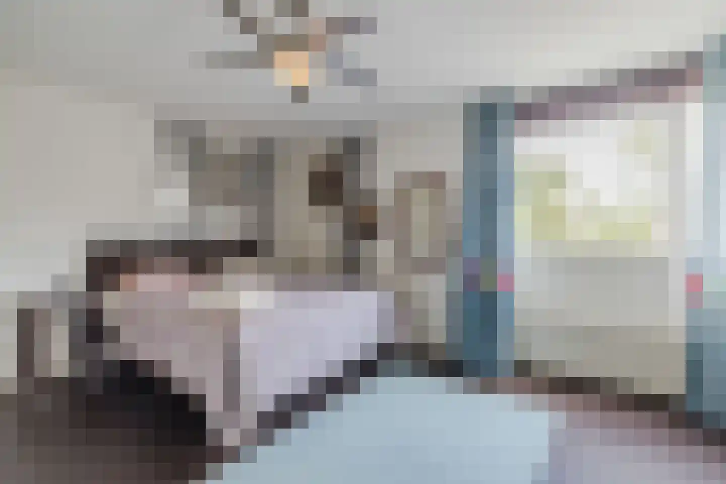 IJsvogel 25 Maarssen thumbnail 24