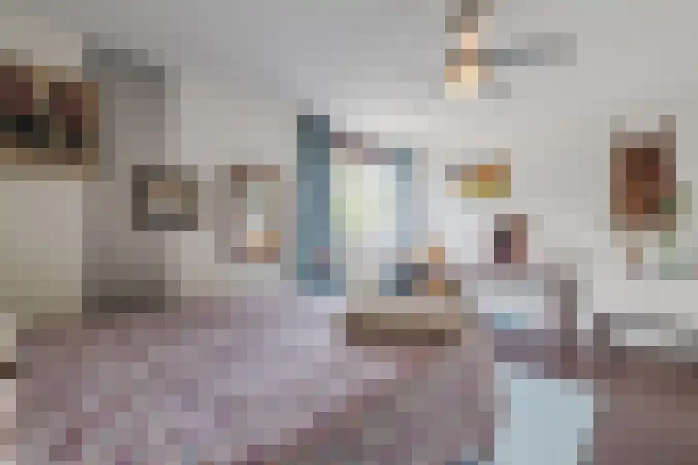 IJsvogel 25 Maarssen thumbnail 25