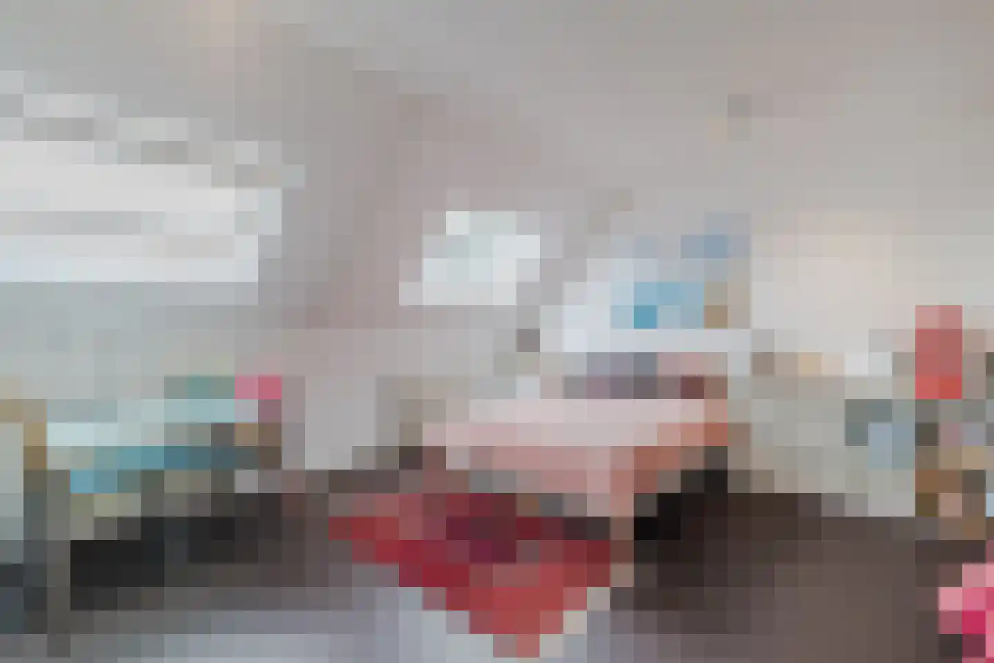 IJsvogel 25 Maarssen thumbnail 27