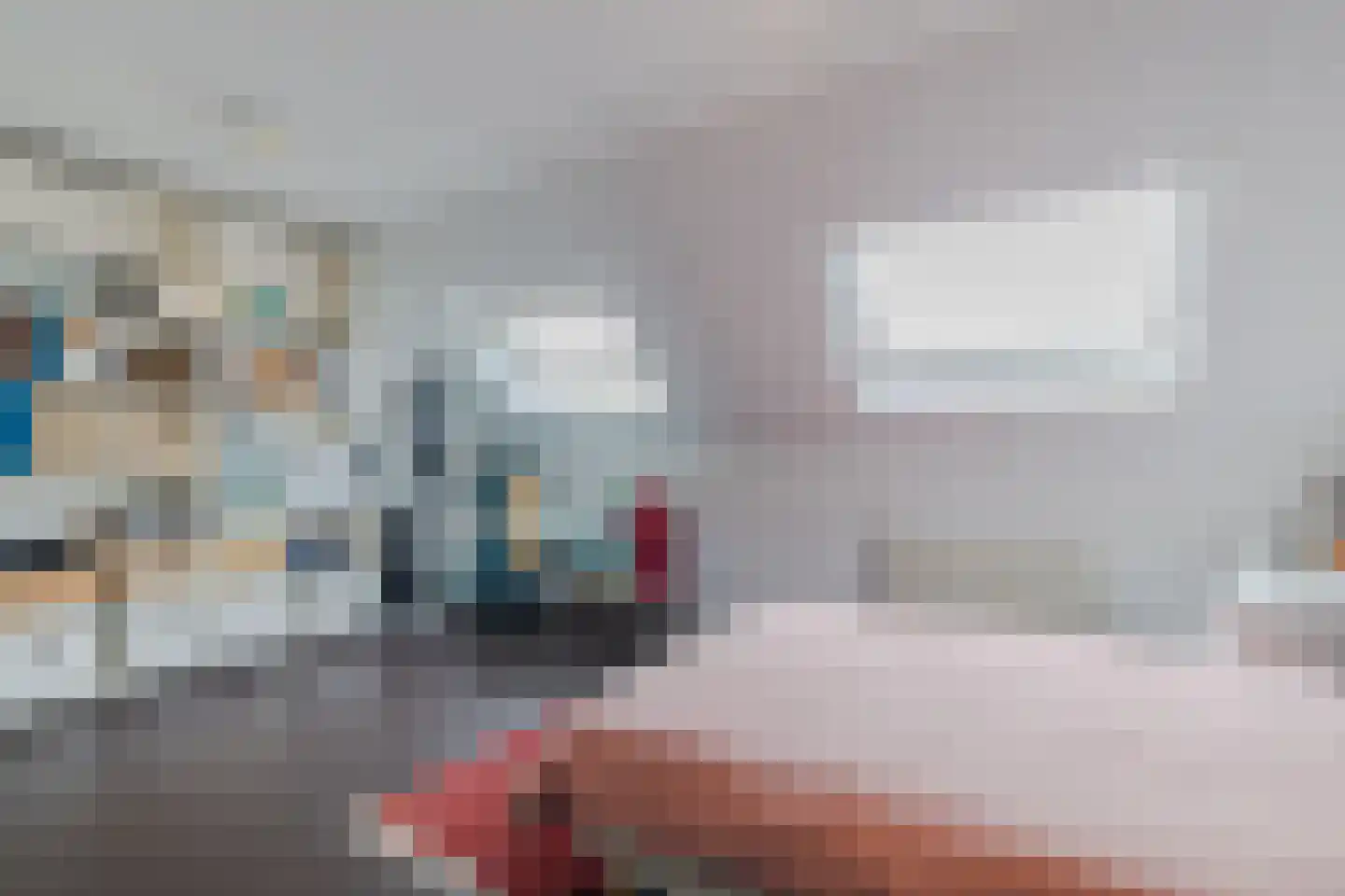 IJsvogel 25 Maarssen thumbnail 28