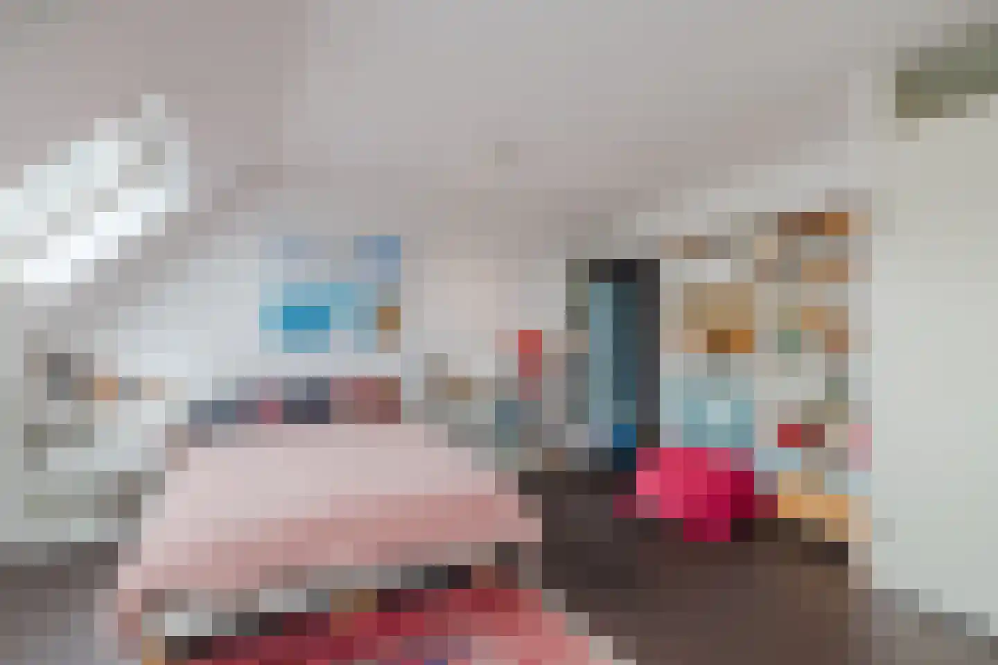 IJsvogel 25 Maarssen thumbnail 29
