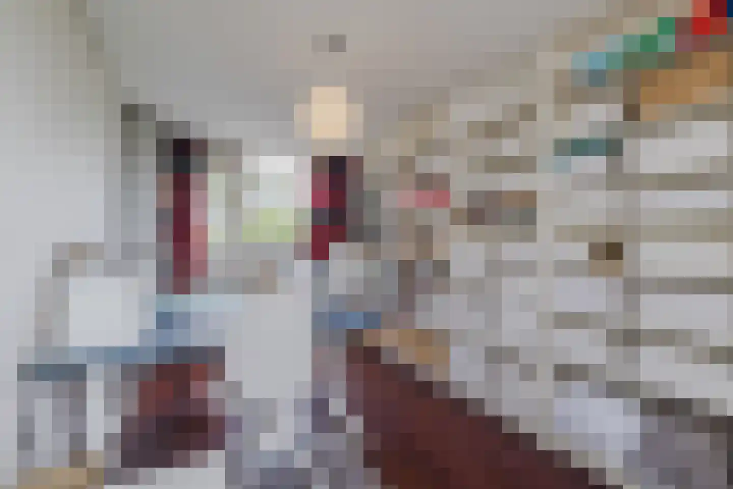 IJsvogel 25 Maarssen thumbnail 30