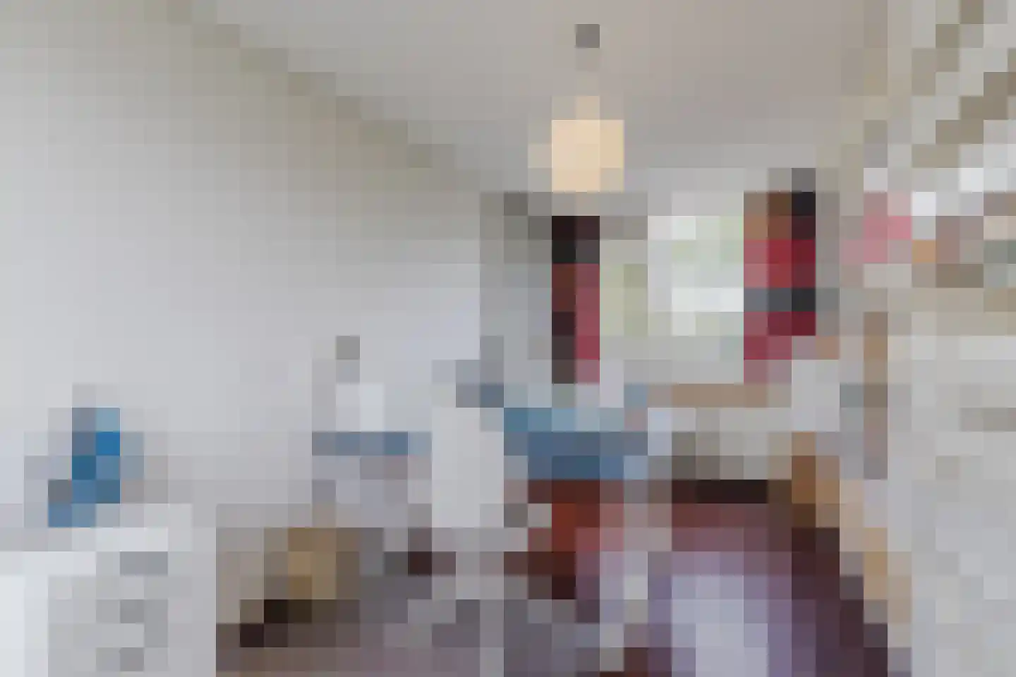 IJsvogel 25 Maarssen thumbnail 31