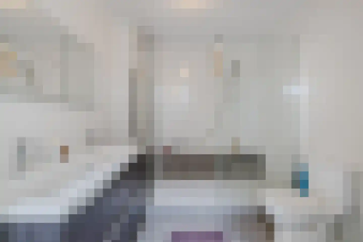 IJsvogel 25 Maarssen thumbnail 33