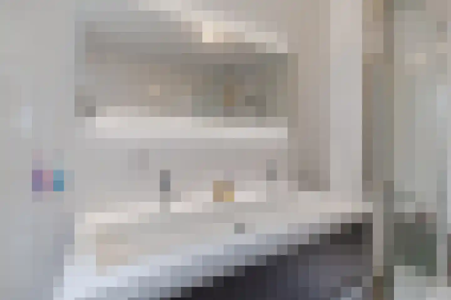 IJsvogel 25 Maarssen thumbnail 34