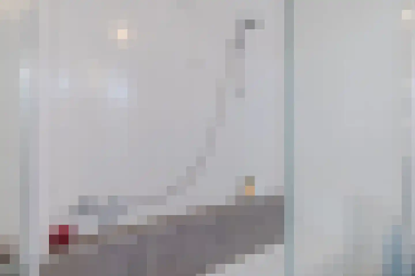 IJsvogel 25 Maarssen thumbnail 35