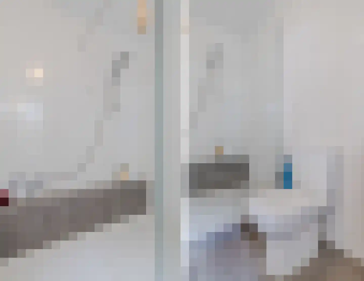IJsvogel 25 Maarssen thumbnail 36
