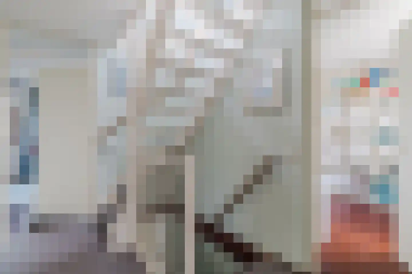 IJsvogel 25 Maarssen thumbnail 37