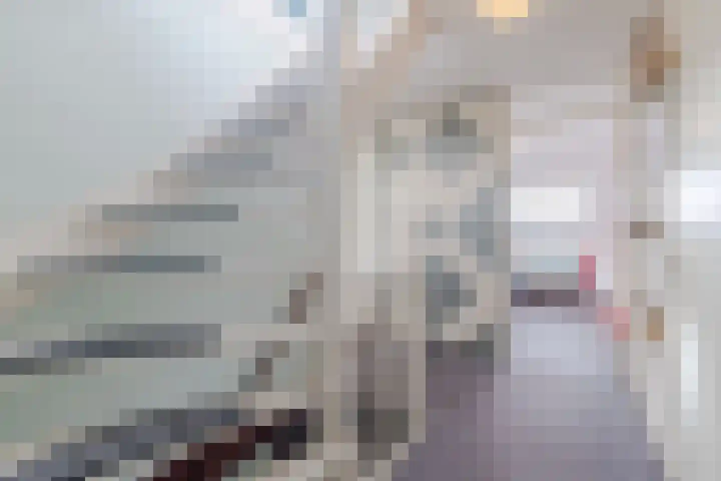 IJsvogel 25 Maarssen thumbnail 38
