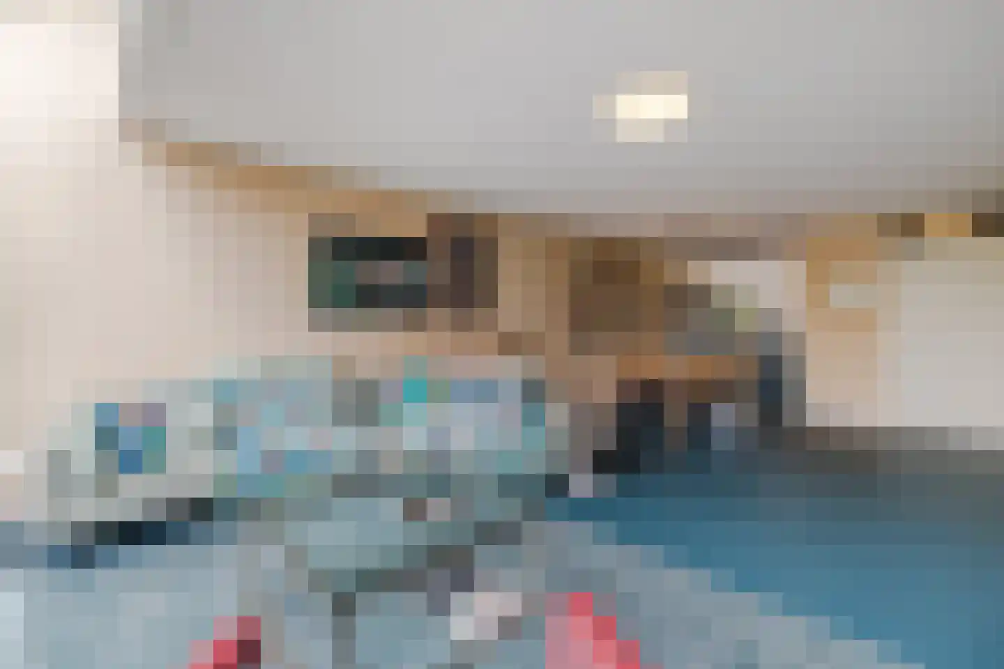 IJsvogel 25 Maarssen thumbnail 4