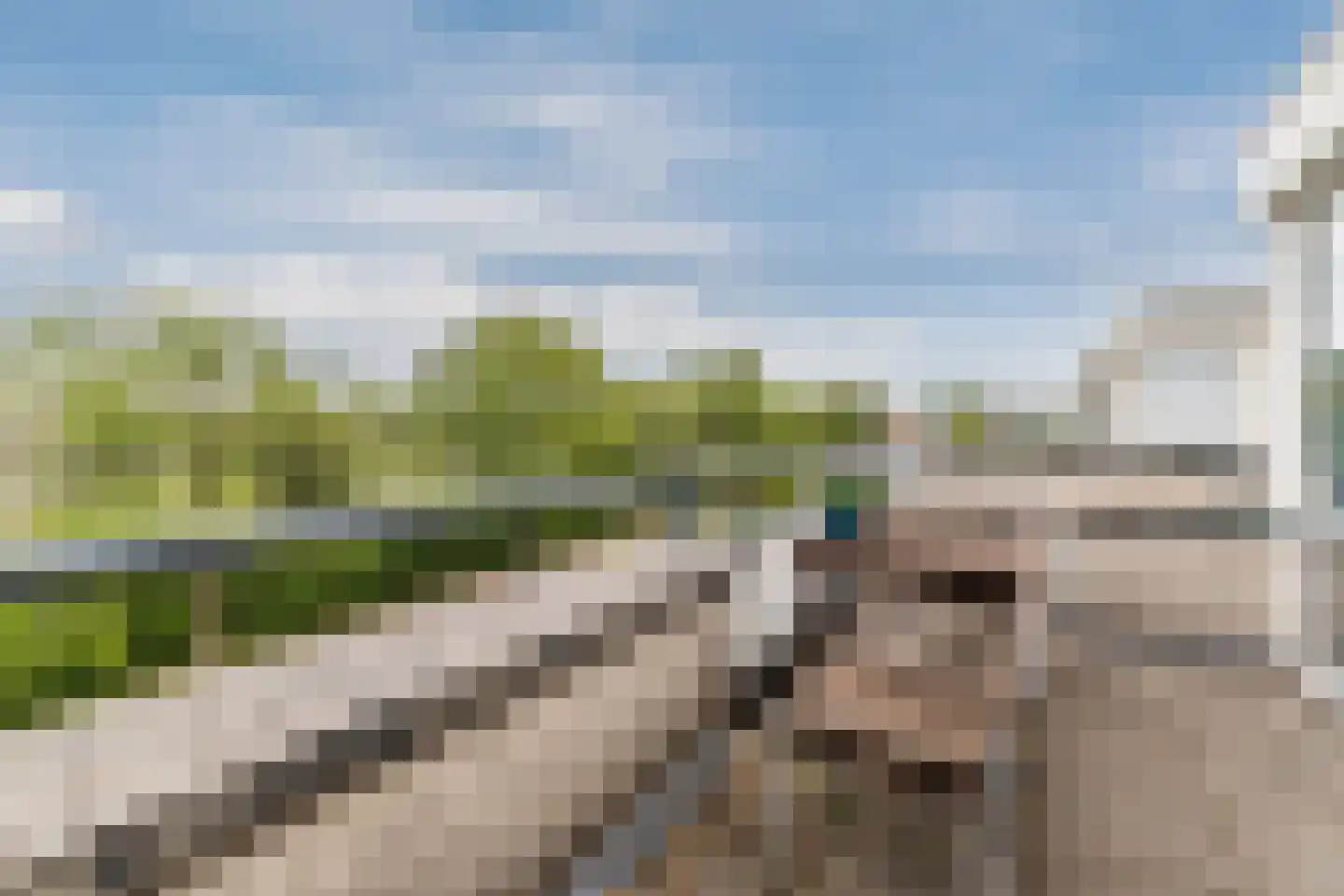 IJsvogel 25 Maarssen thumbnail 42
