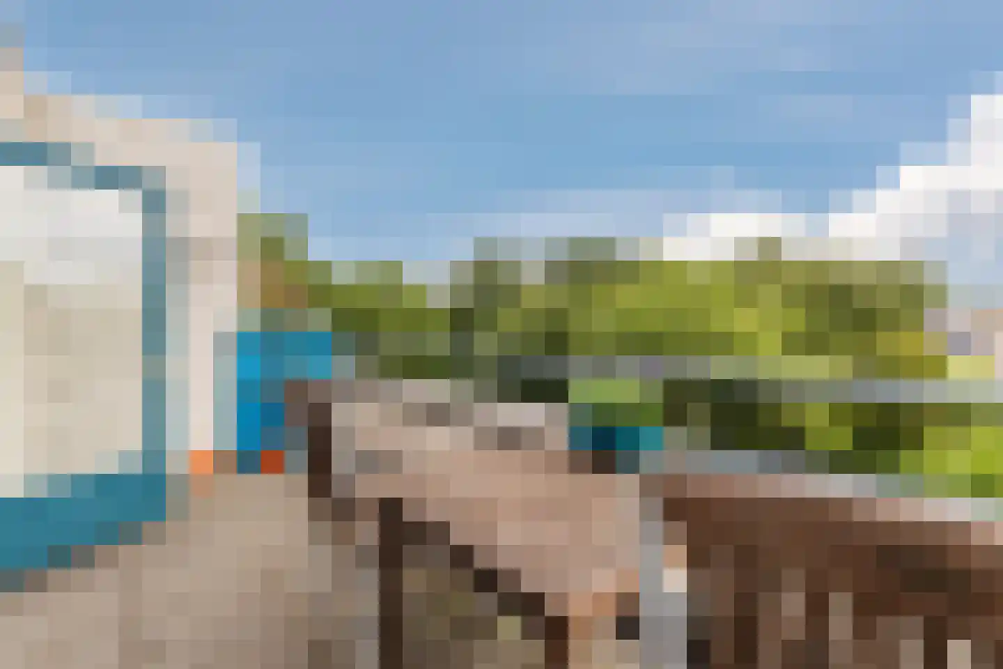 IJsvogel 25 Maarssen thumbnail 43