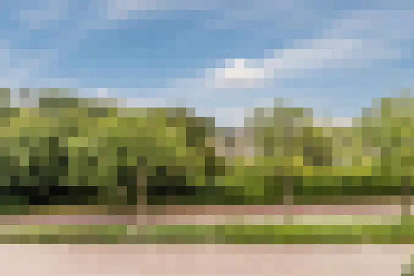 IJsvogel 25 Maarssen thumbnail 45