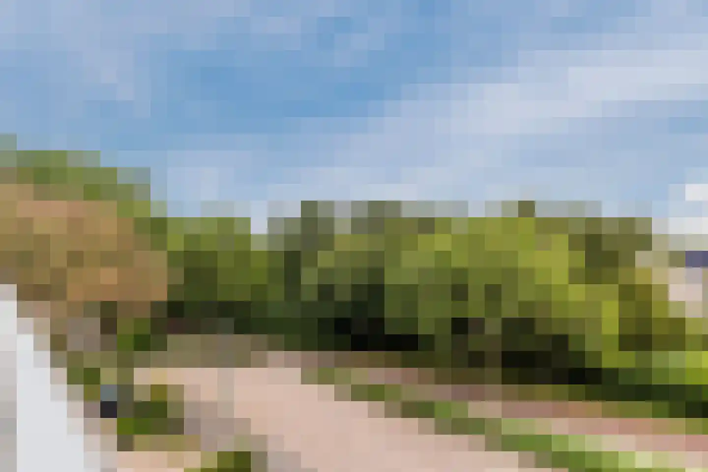 IJsvogel 25 Maarssen thumbnail 46
