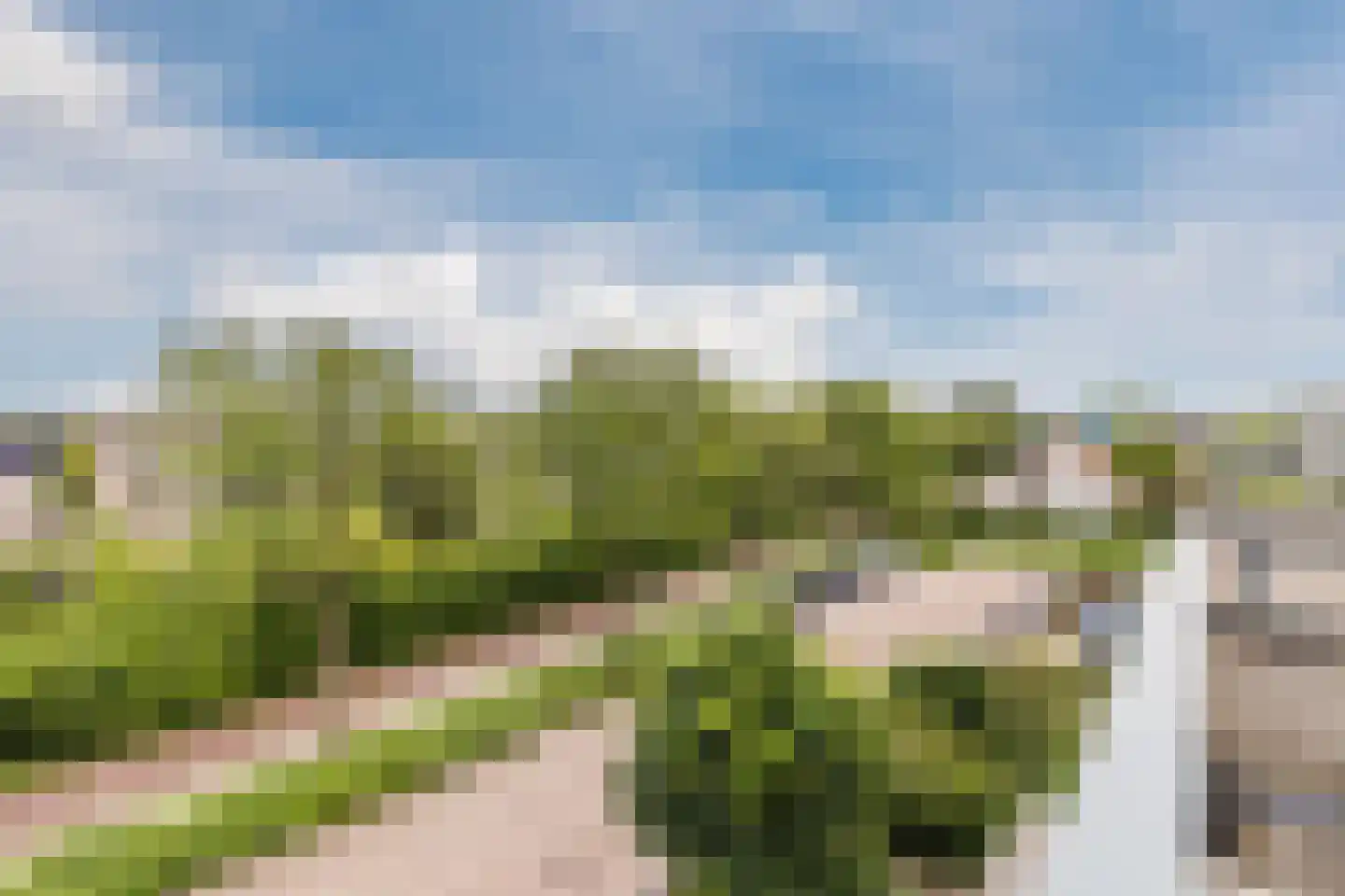 IJsvogel 25 Maarssen thumbnail 47