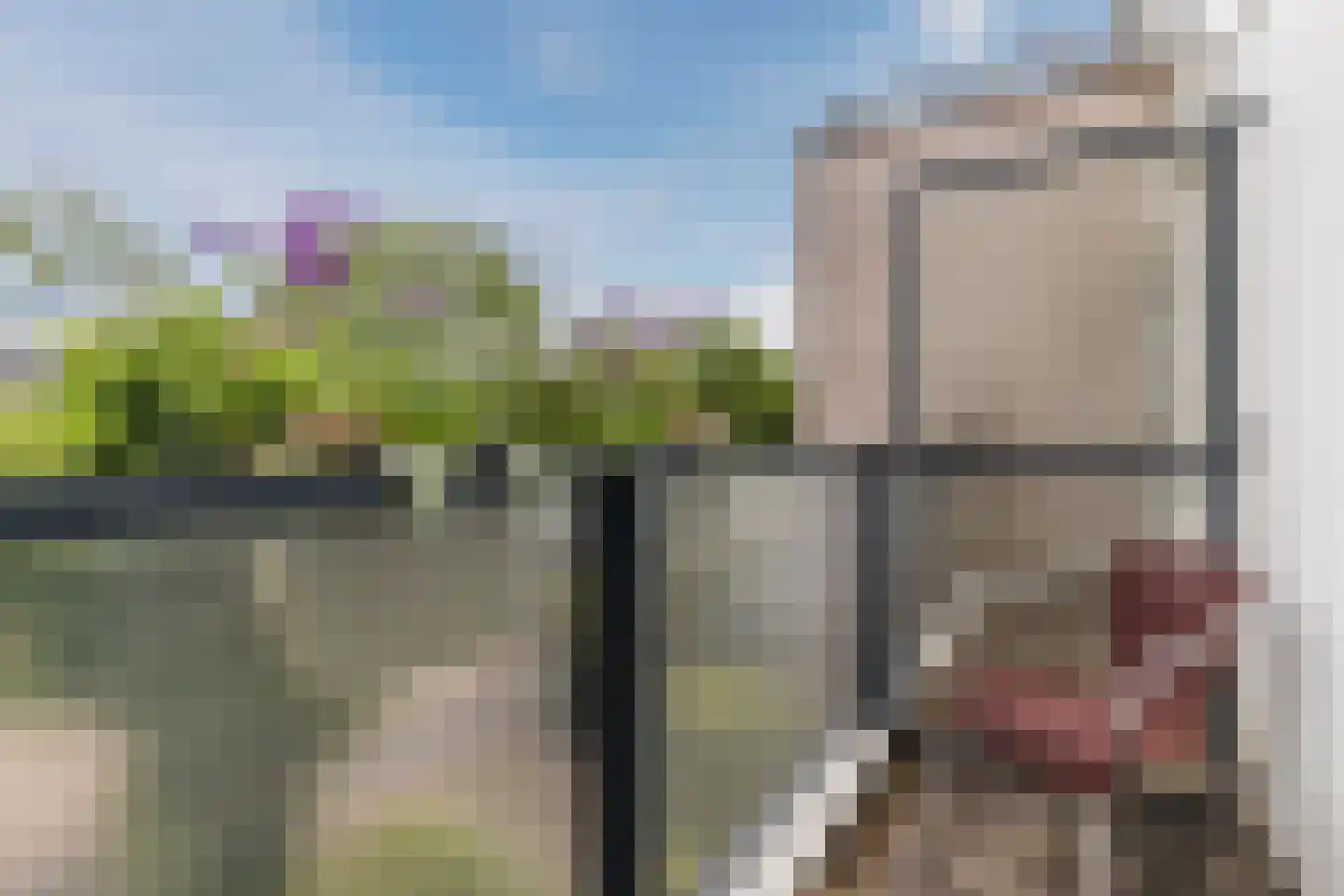IJsvogel 25 Maarssen thumbnail 48