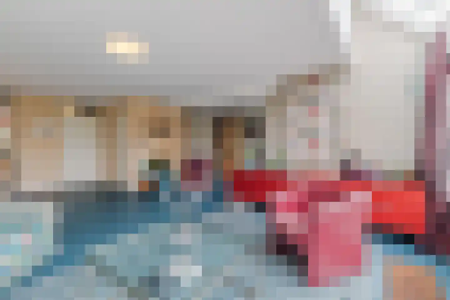 IJsvogel 25 Maarssen thumbnail 5