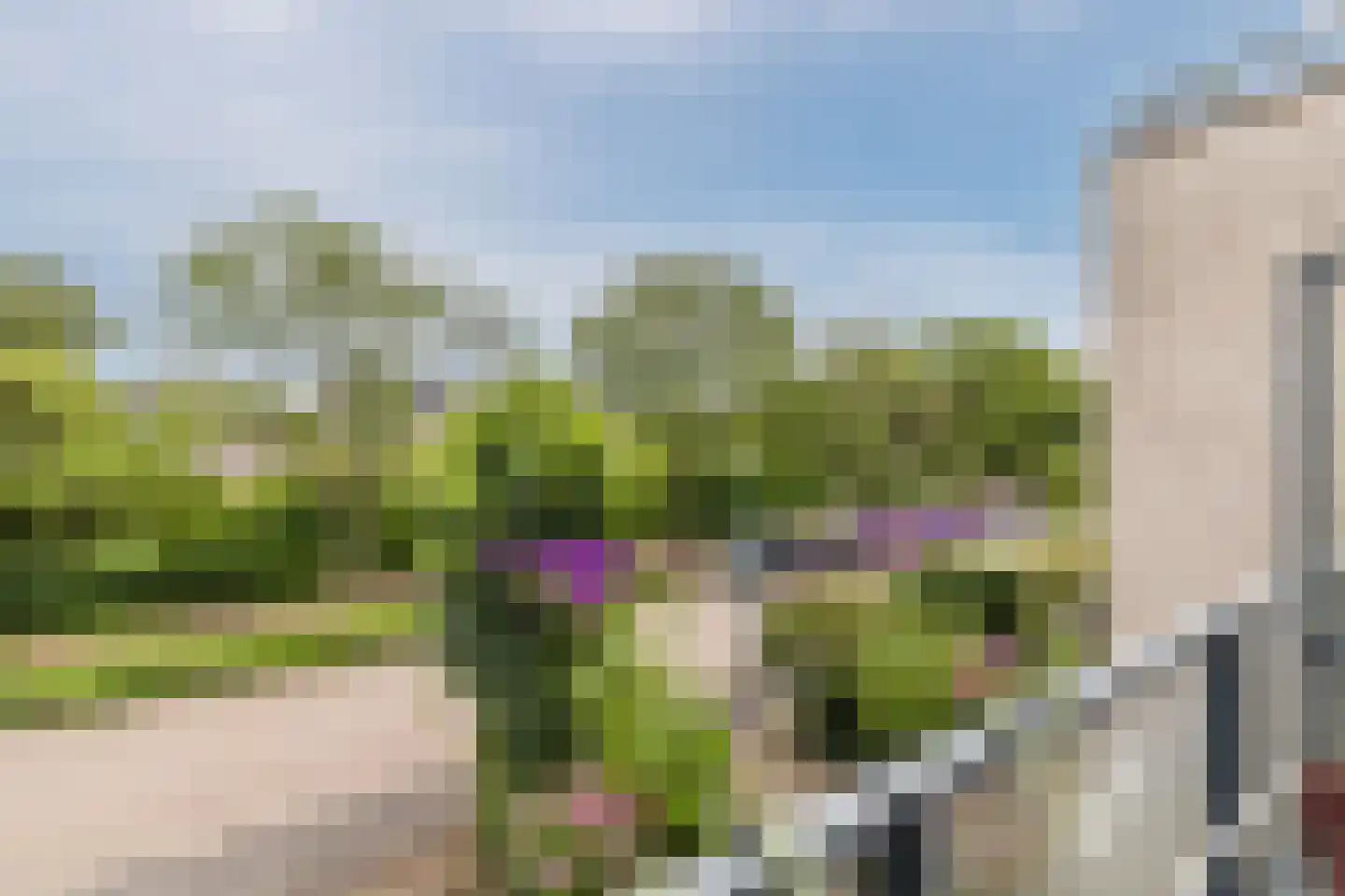 IJsvogel 25 Maarssen thumbnail 50