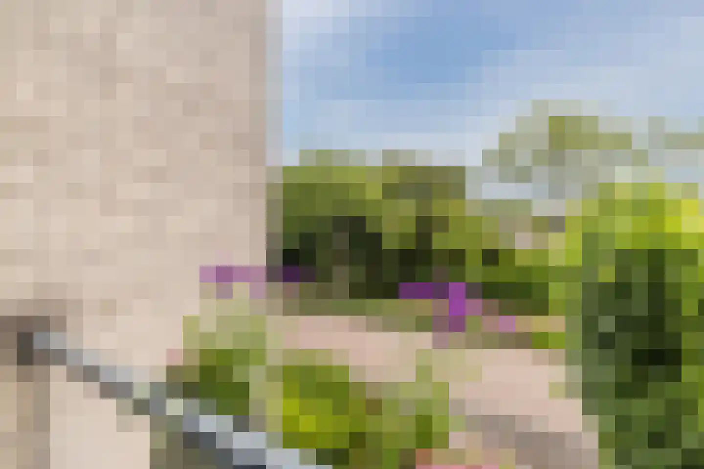 IJsvogel 25 Maarssen thumbnail 51