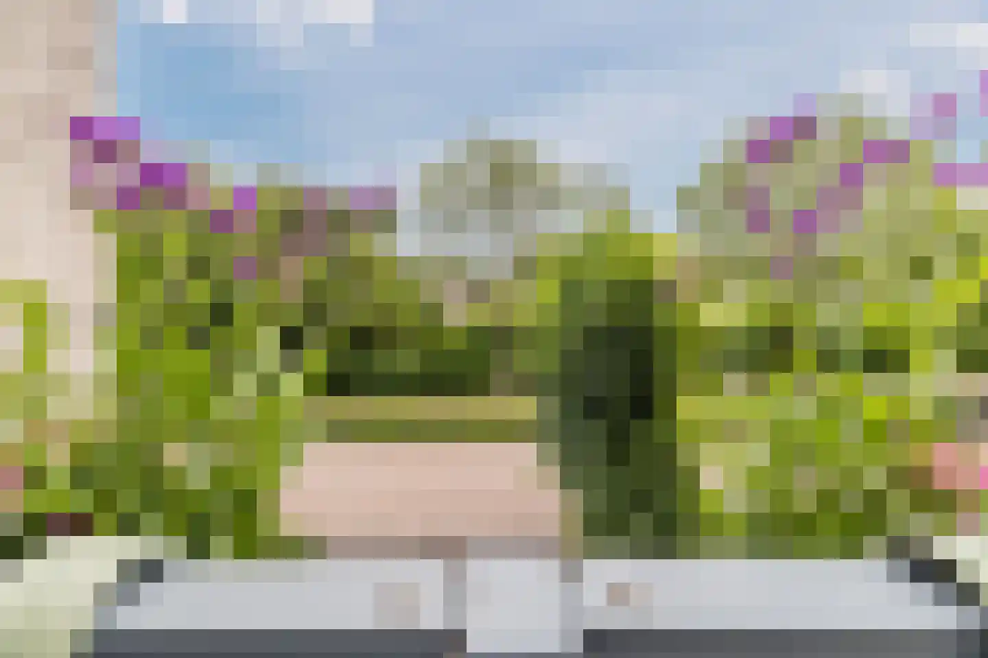 IJsvogel 25 Maarssen thumbnail 52