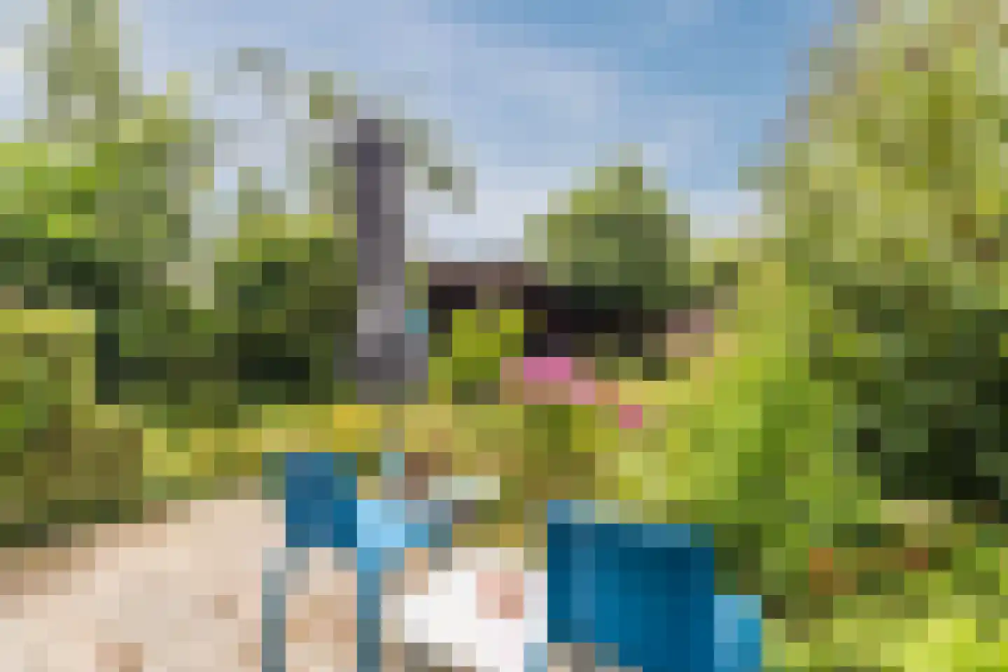 IJsvogel 25 Maarssen thumbnail 53