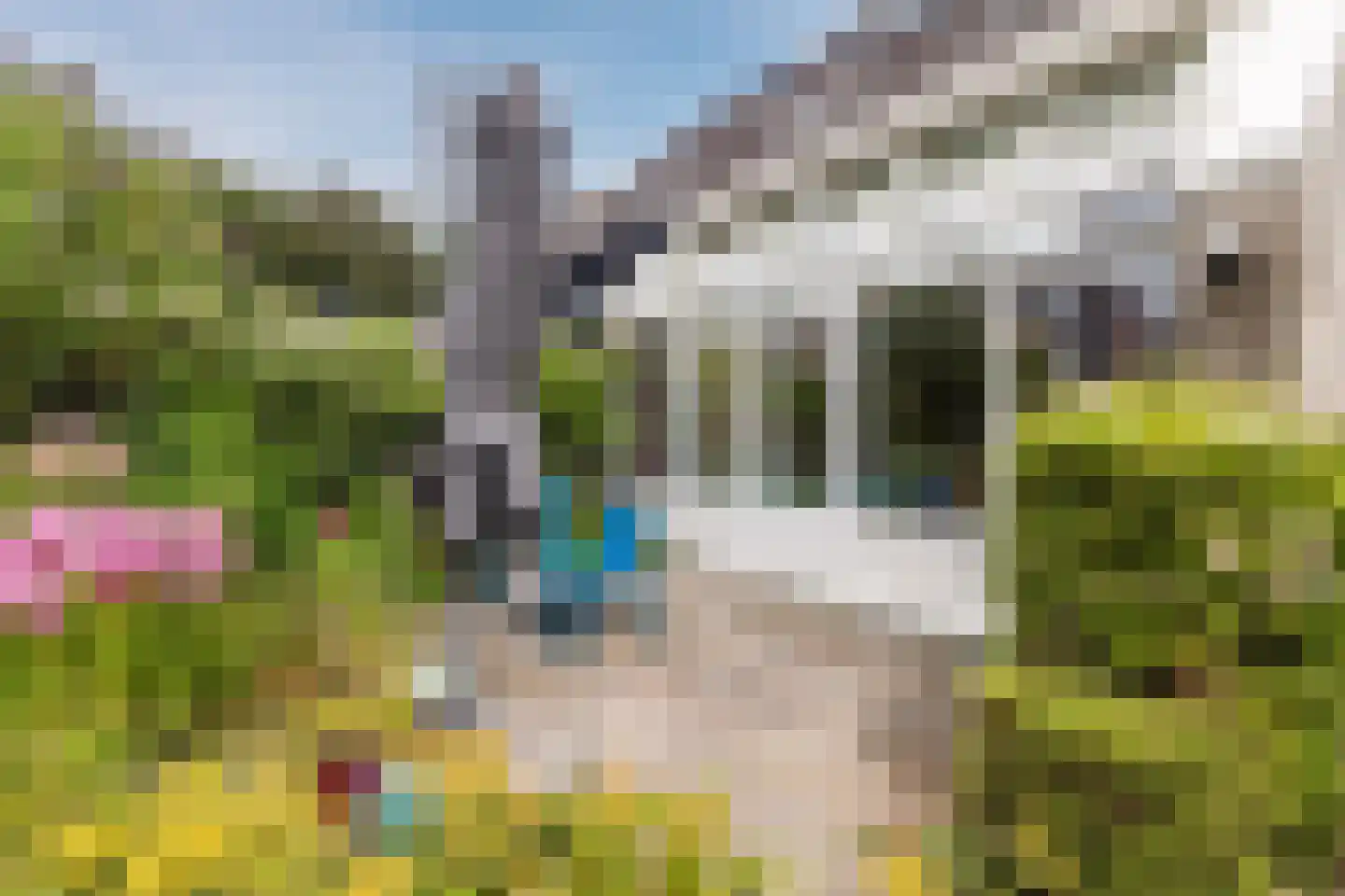 IJsvogel 25 Maarssen thumbnail 54