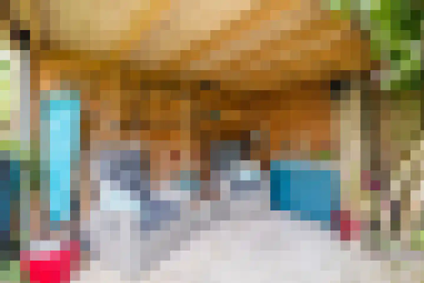 IJsvogel 25 Maarssen thumbnail 55