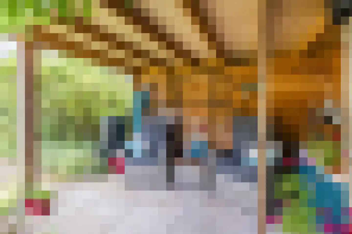 IJsvogel 25 Maarssen thumbnail 56