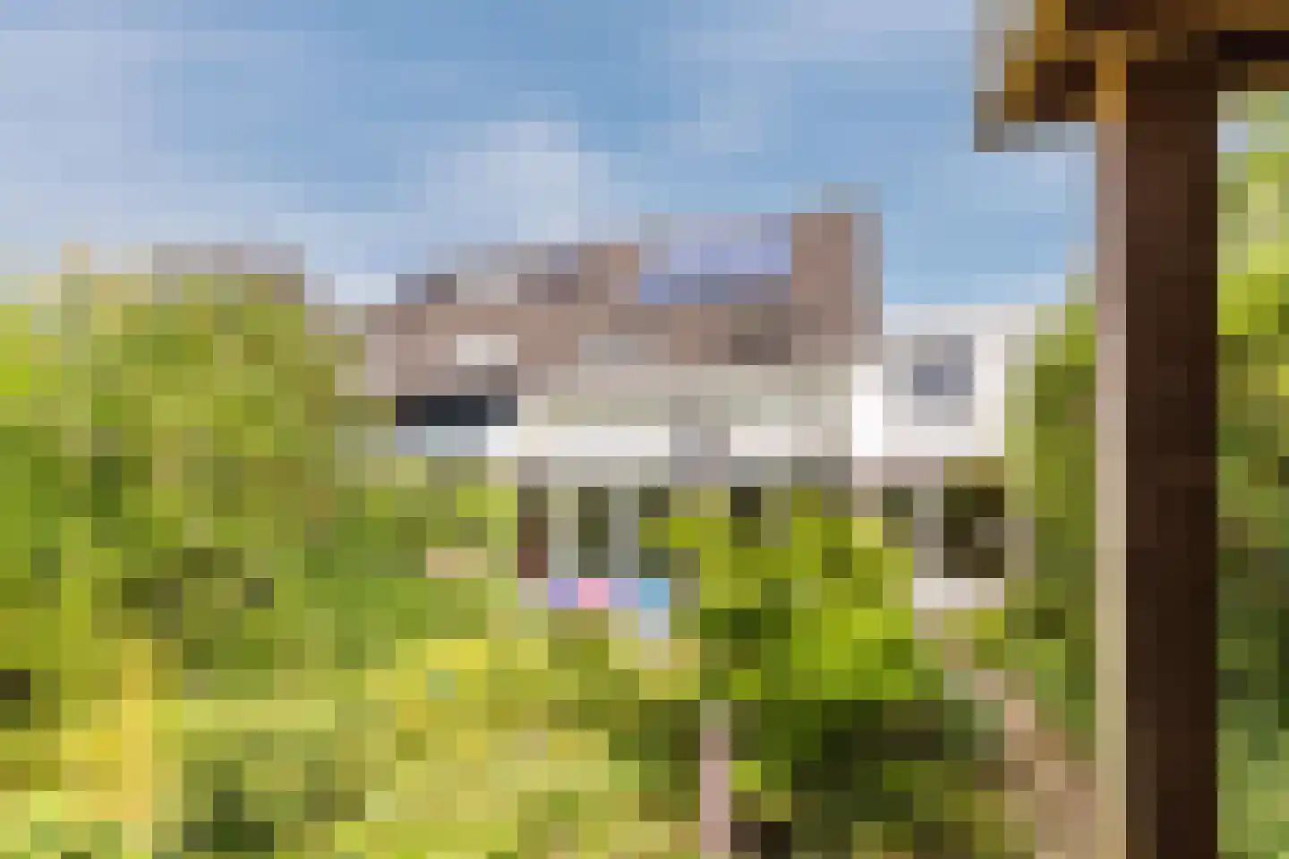 IJsvogel 25 Maarssen thumbnail 58