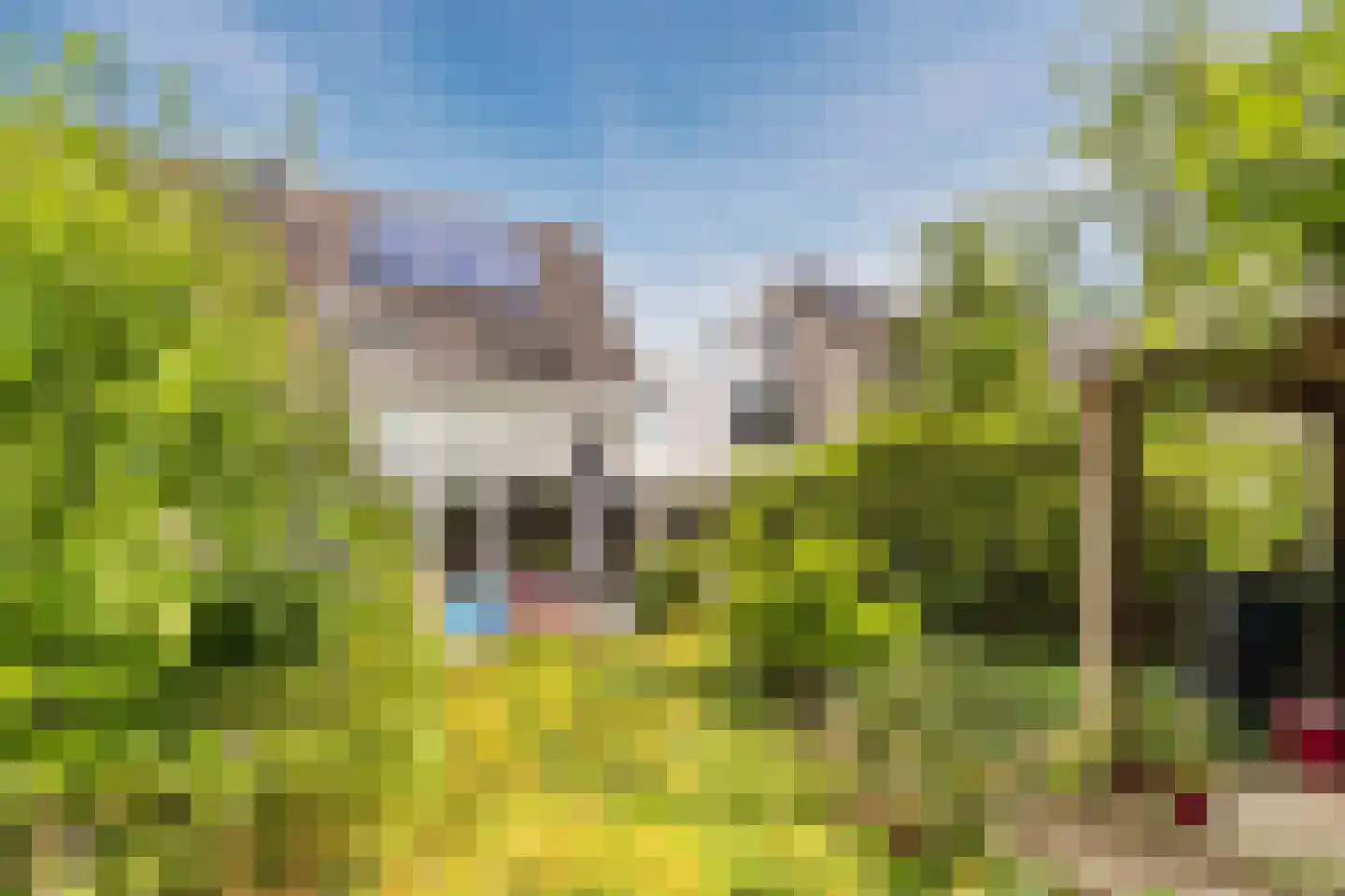IJsvogel 25 Maarssen thumbnail 59