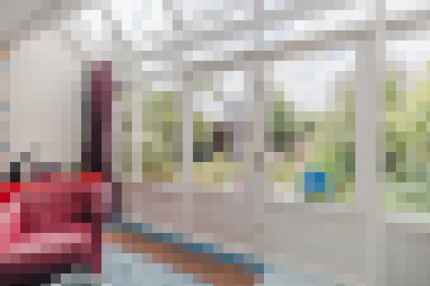 IJsvogel 25 Maarssen thumbnail 6