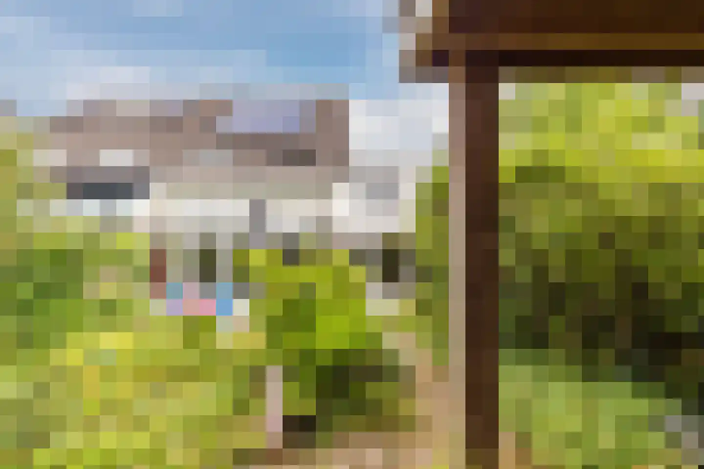 IJsvogel 25 Maarssen thumbnail 60