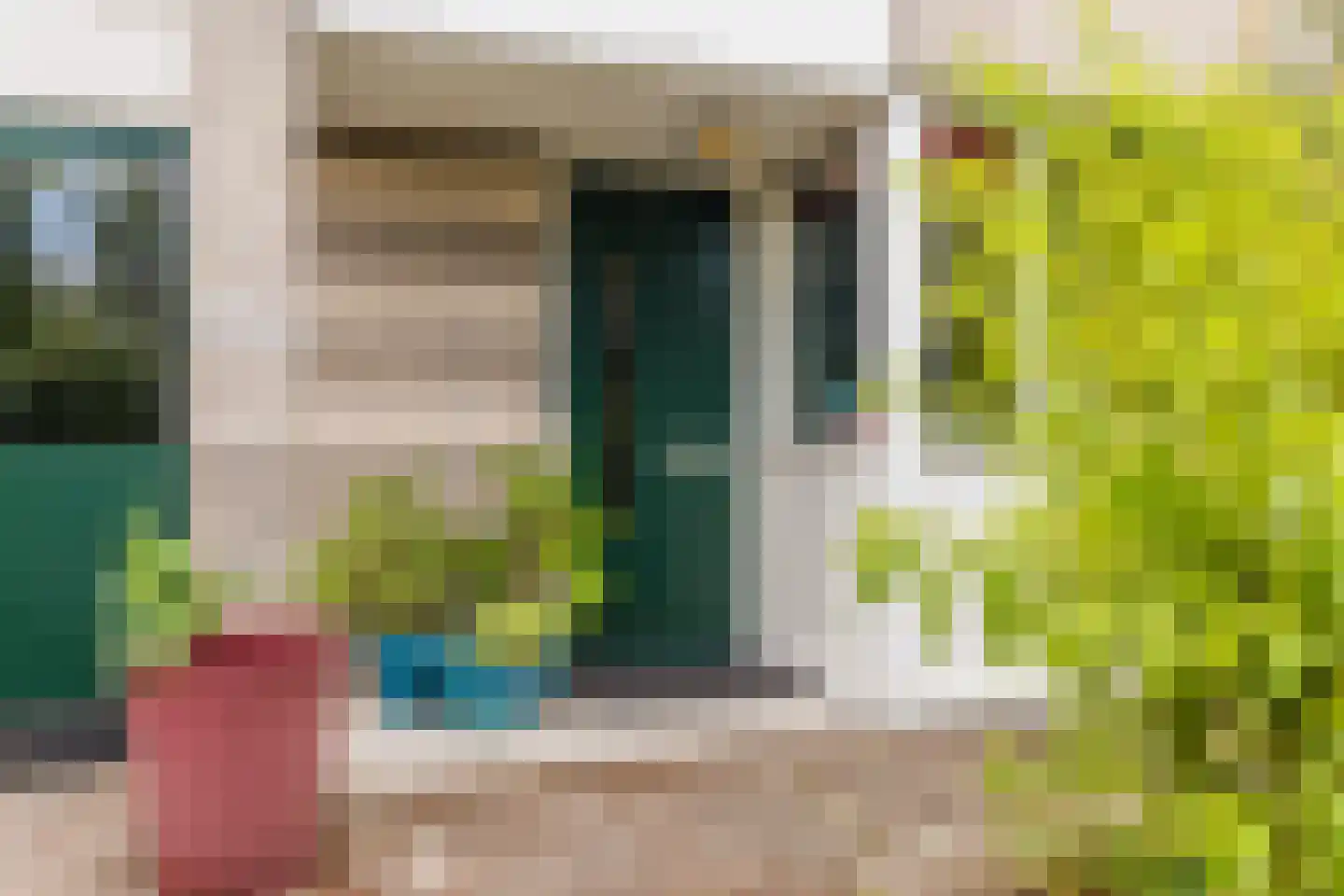 IJsvogel 25 Maarssen thumbnail 62