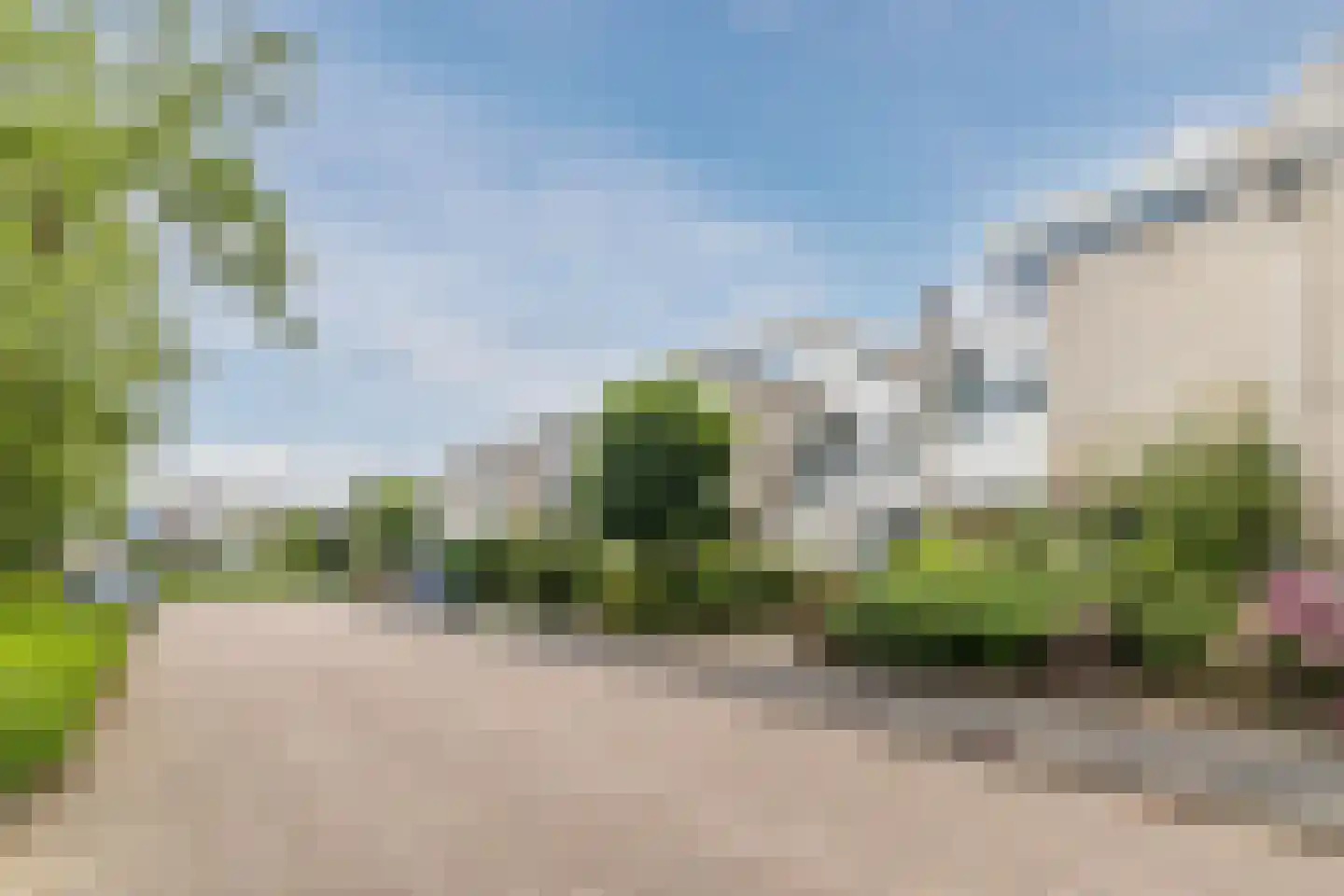 IJsvogel 25 Maarssen thumbnail 65