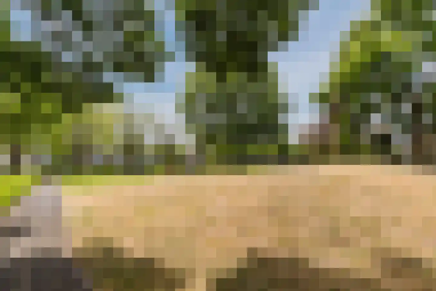 IJsvogel 25 Maarssen thumbnail 66