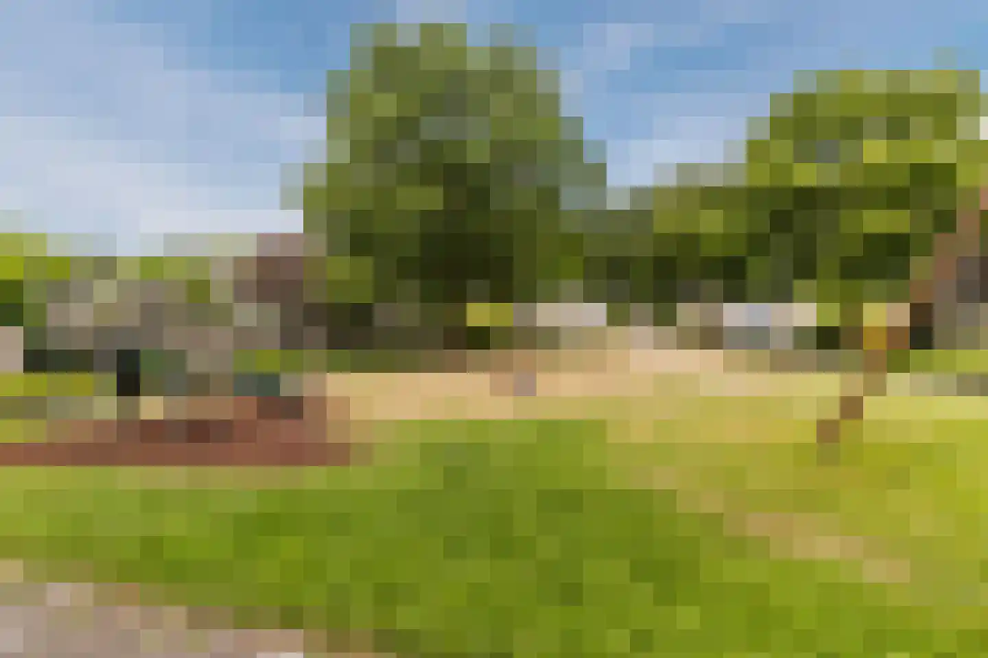 IJsvogel 25 Maarssen thumbnail 67
