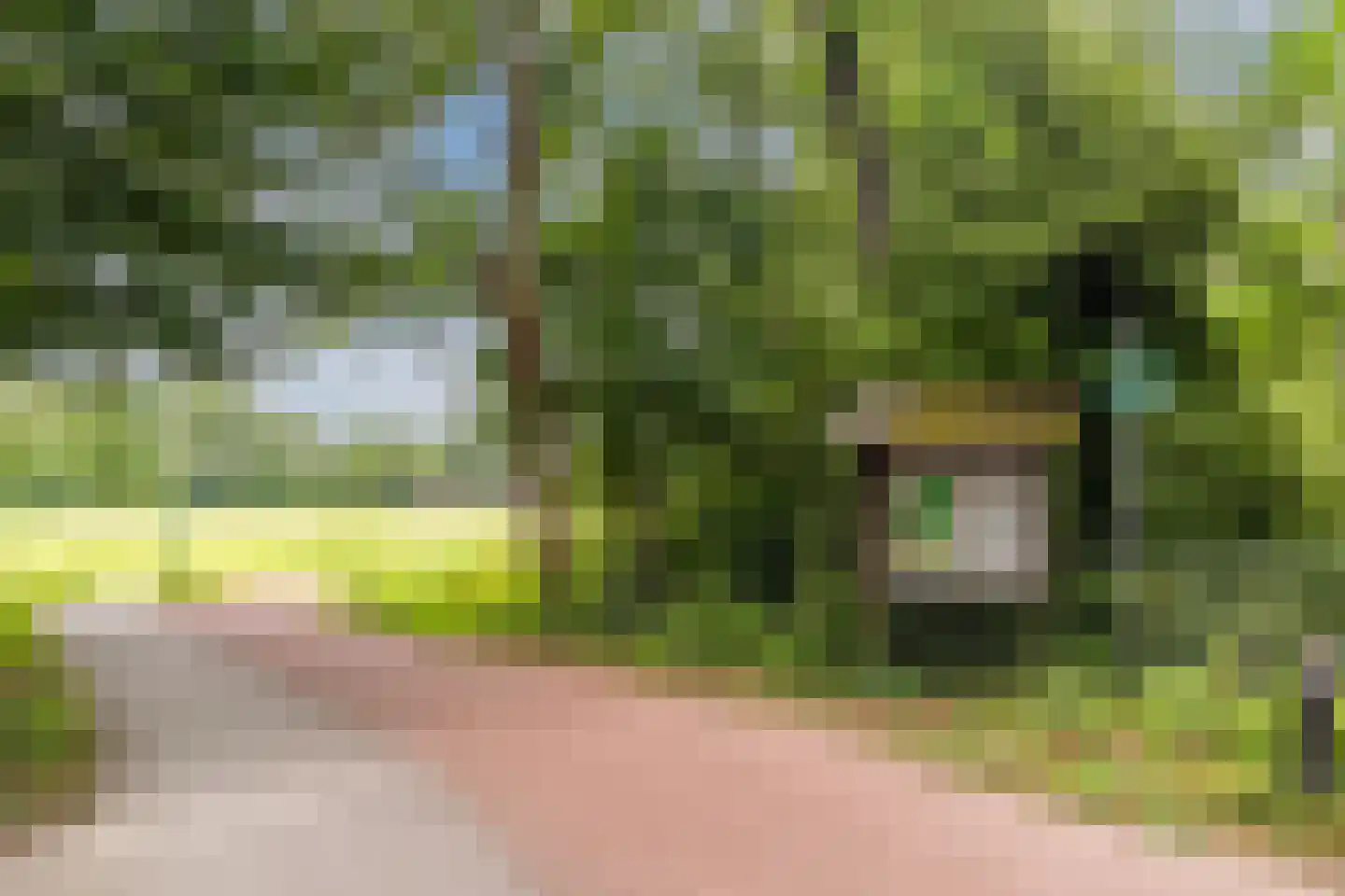 IJsvogel 25 Maarssen thumbnail 68