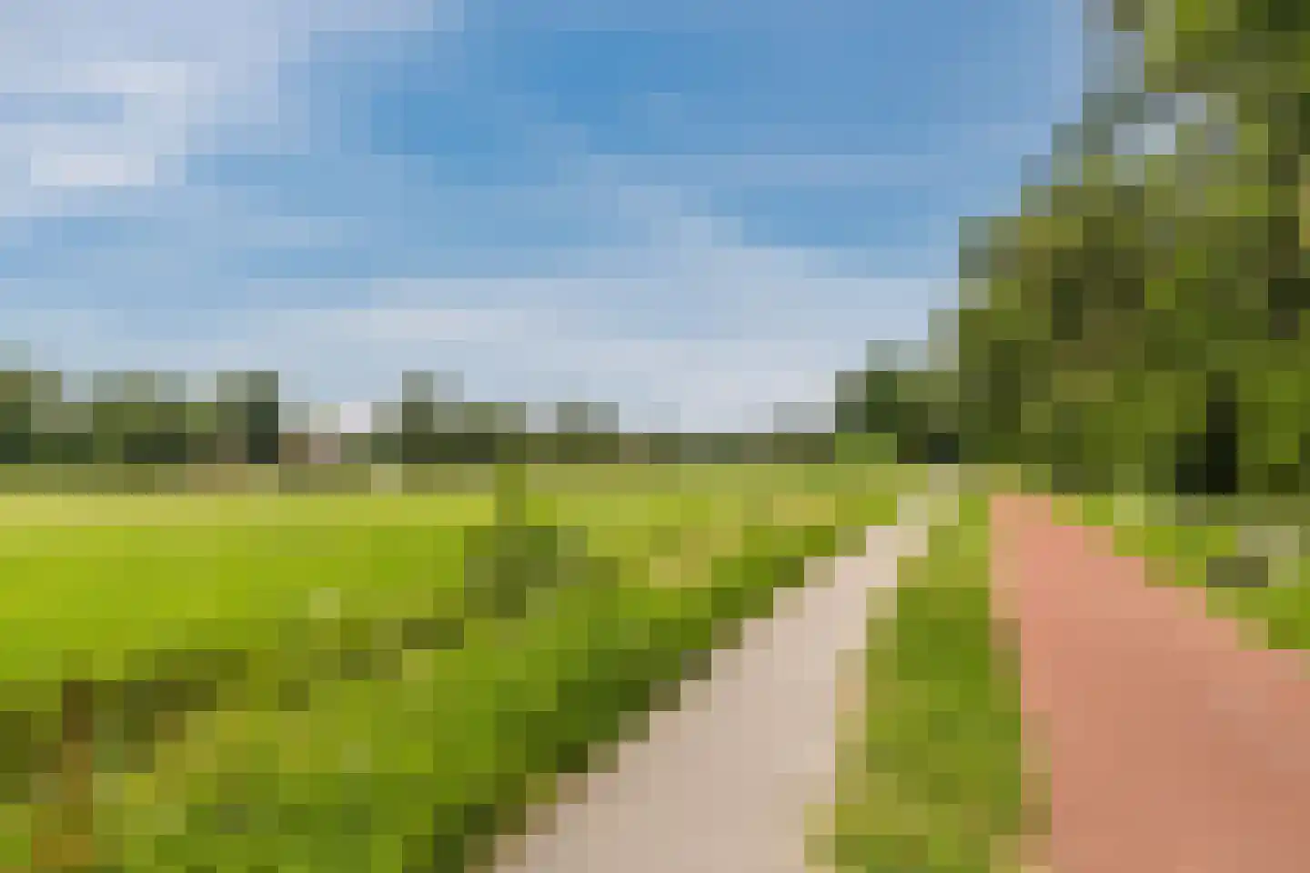 IJsvogel 25 Maarssen thumbnail 69