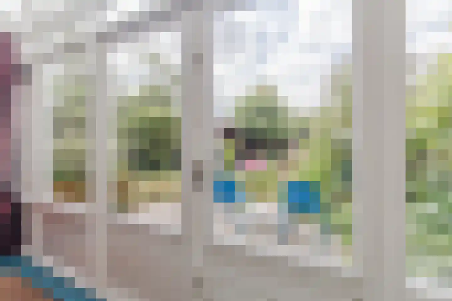 IJsvogel 25 Maarssen thumbnail 7