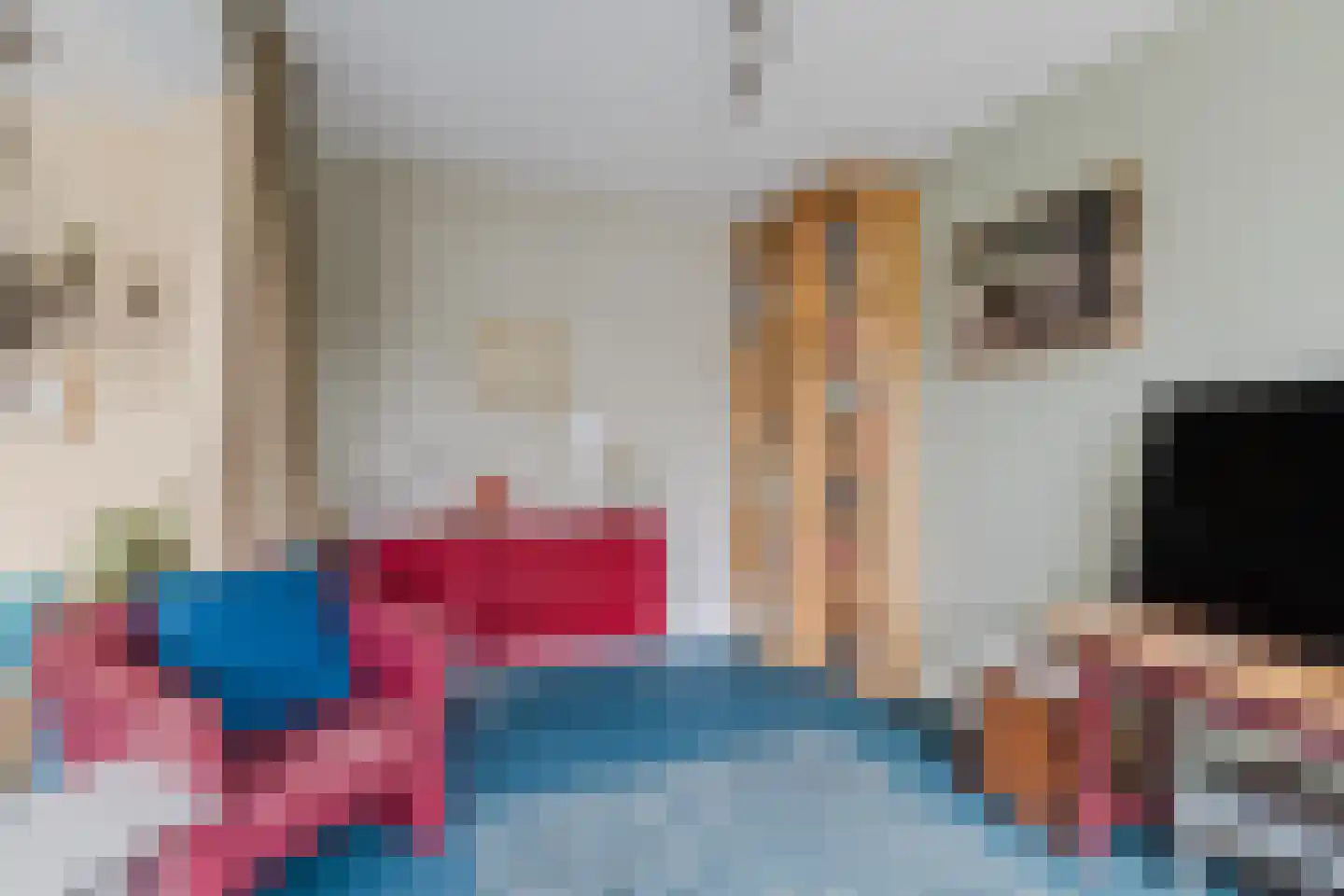 IJsvogel 25 Maarssen thumbnail 8