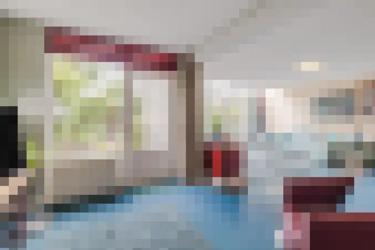 IJsvogel 25 Maarssen thumbnail 9